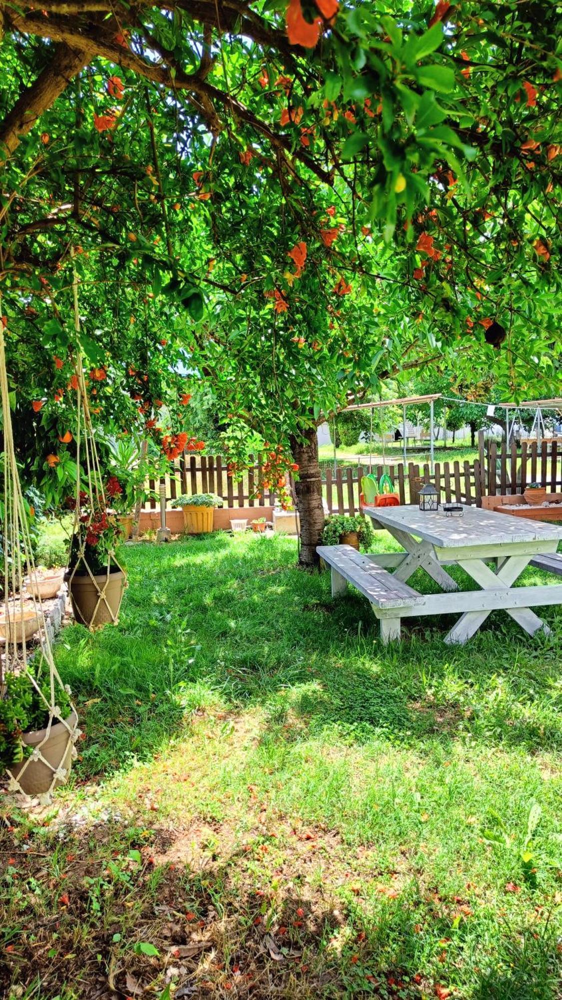 Garden House Katerina Aparthotel Leptokaryá Eksteriør bilde