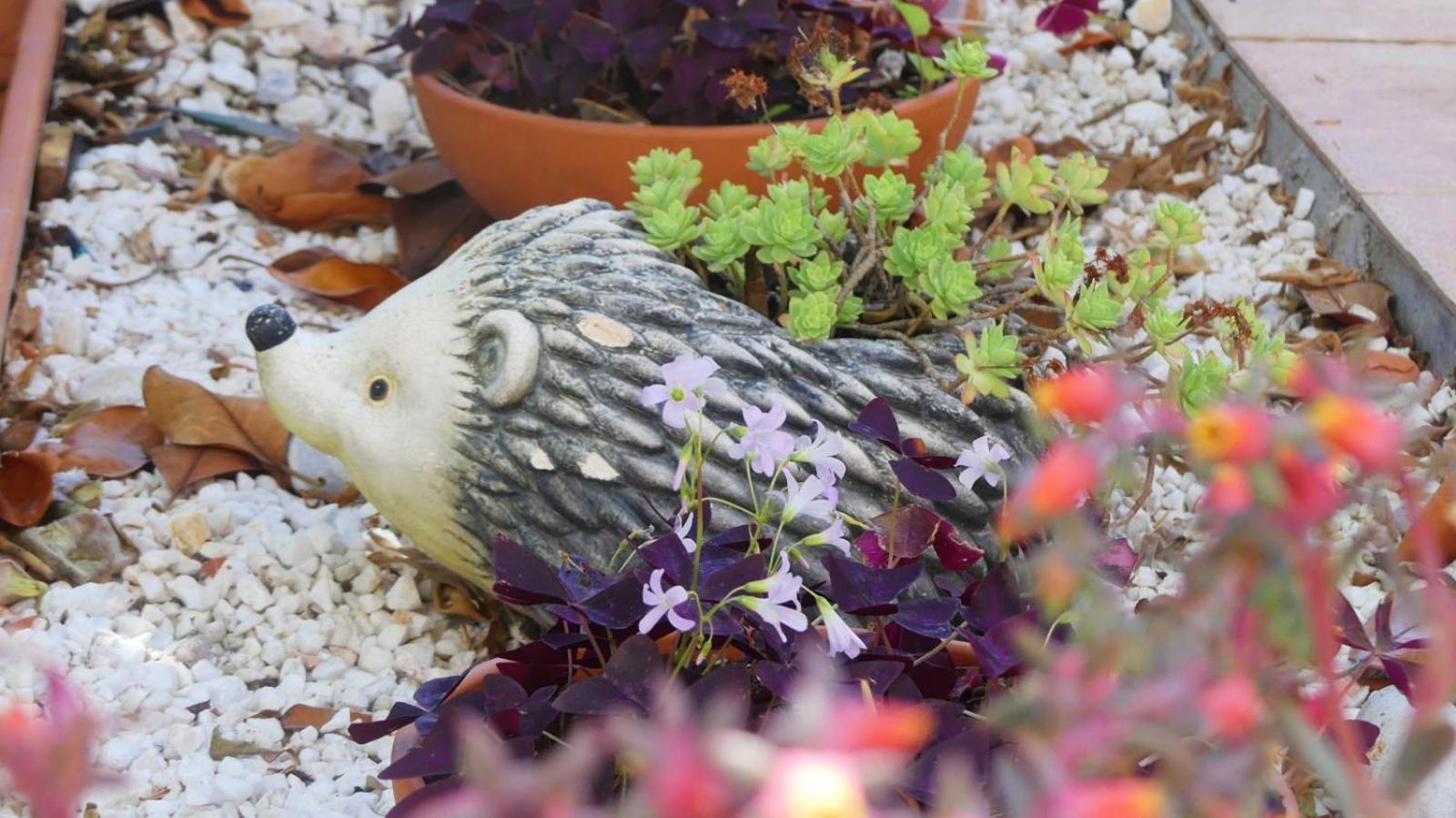 Garden House Katerina Aparthotel Leptokaryá Eksteriør bilde